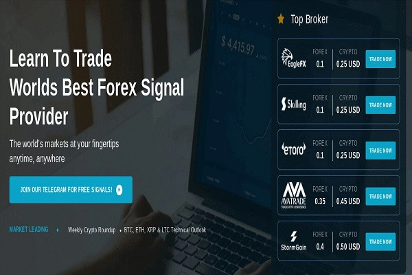 tin-hieu-forex-chuan-2-1662739049