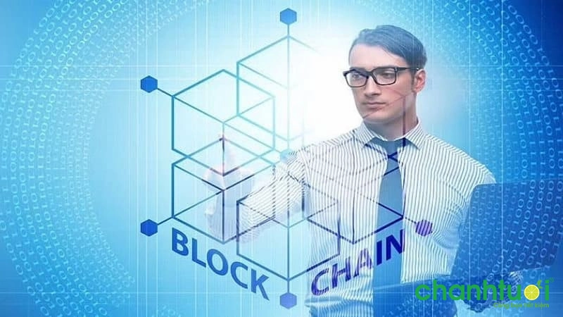 Công việc của một lập trình viên Blockchain