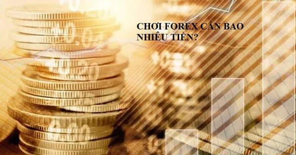 dau-tu-forex-can-bao-nhieu-tien-01