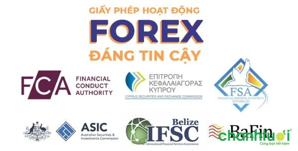 forex-co-bi-cam-o-viet-nam-khong-6