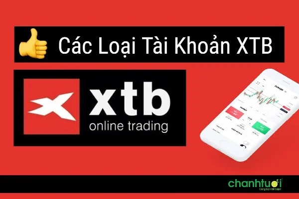 cac-loai-tai-khoan-xtb-0
