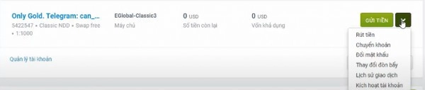 mo-tai-khoan-forex4you-13