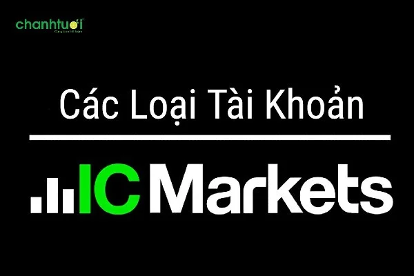 cac-loai-tai-khoan-icmarket-0
