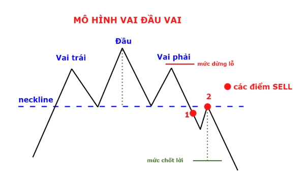 cac loại giao dich