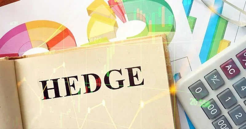 hedge-la-gi-2-2