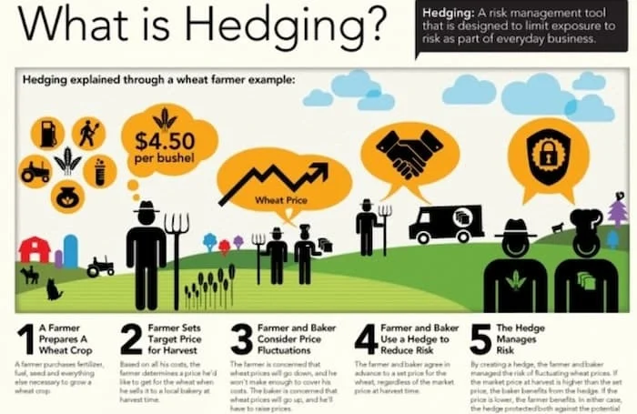 hedging-la-gi-png1-1-1