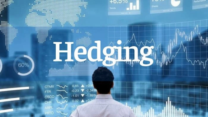 Hedging là gì 2