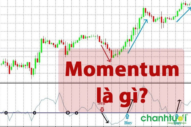 momentum-la-gi-1