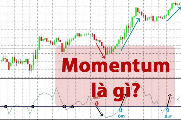 momentum-la-gi