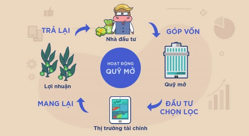 Hoạt động quỹ mở