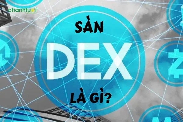san-dex-la-gi-0