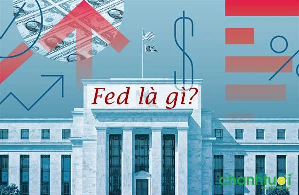 fed-la-gi-4