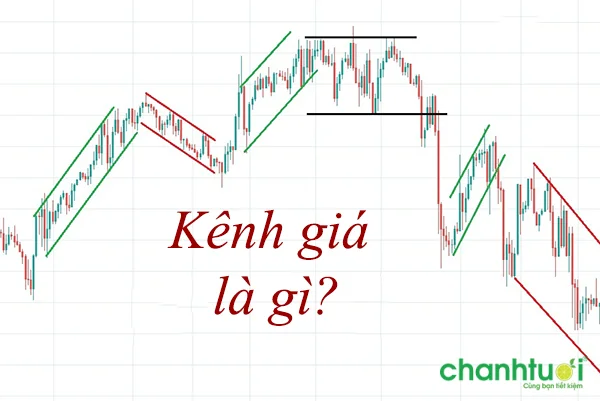 kenh-gia-6