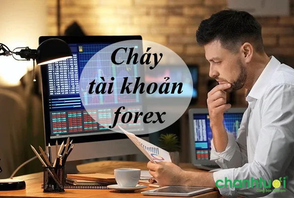 chay-tai-khoan-forex-2
