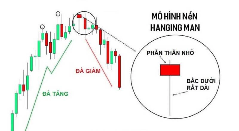 mo-hinh-3-con-qua-den-2
