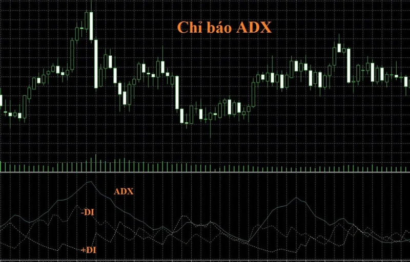 chi-bao-adx-00