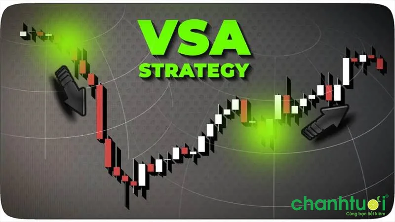 chi-bao-vsa-0
