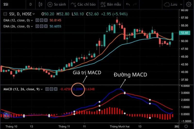 duong-macd-la-gi-1686032856