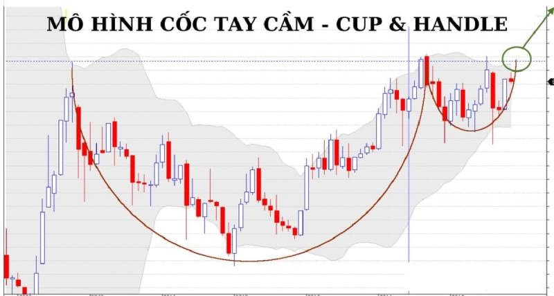 mo-hinh-coc-tay-cam-1