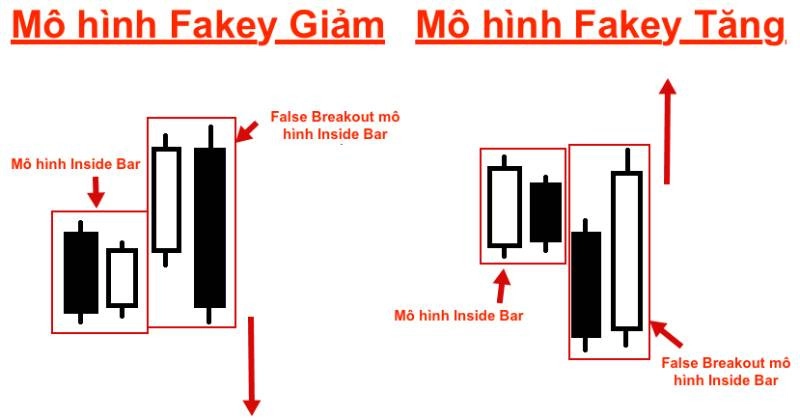 mo-hinh-nen-fakey-3