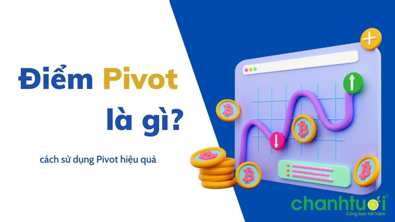 pivot-la-gi-0