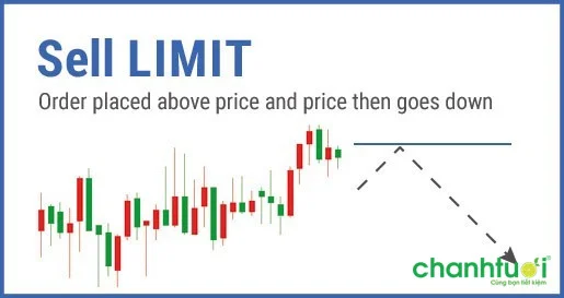 sell-limit-la-gi-0