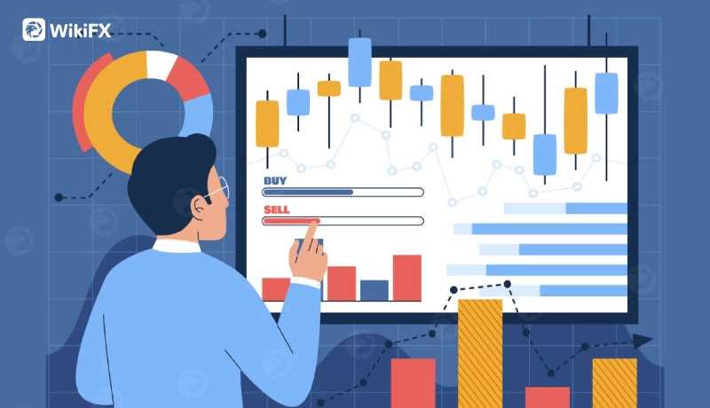 Người mới cần nắm vững kiến thức forex cơ bản để bắt đầu