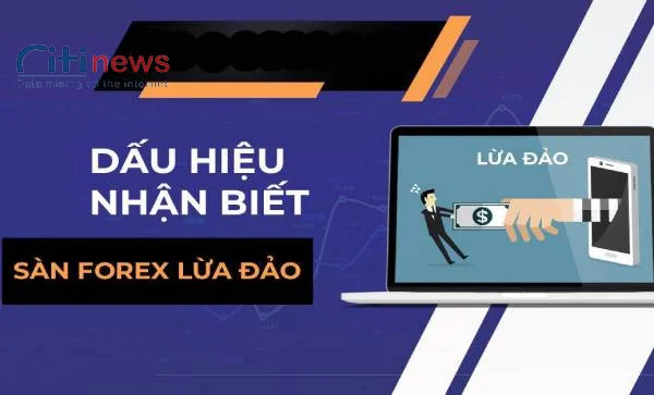 cac-san-forex-lua-dao-tai-viet-nam-1