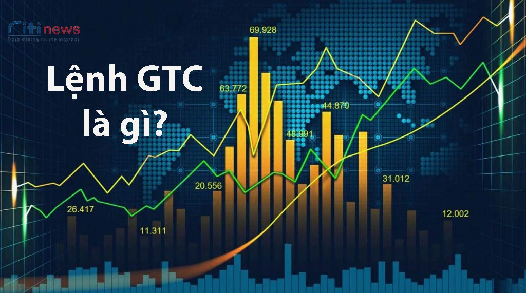 gtc-la-gi-3