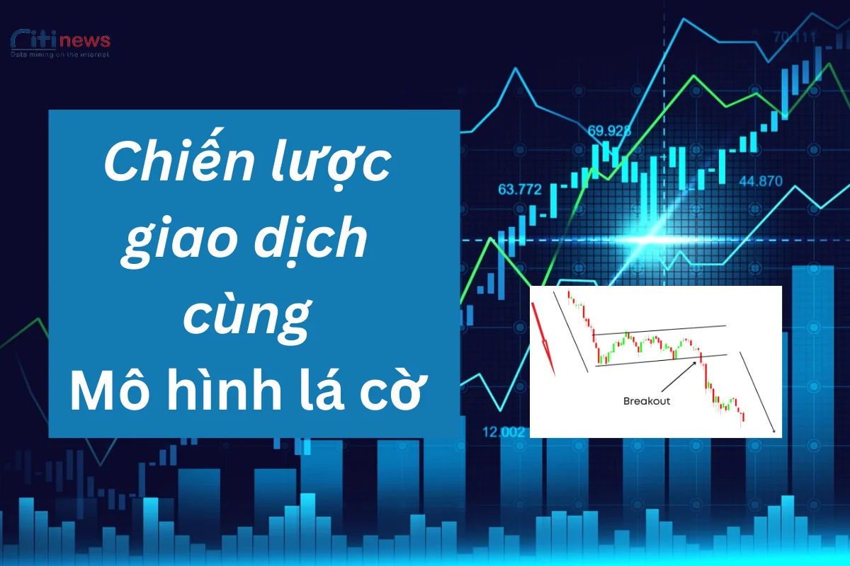 mo-hinh-la-co-1-1