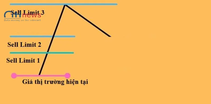 sell-limit-la-gi-03