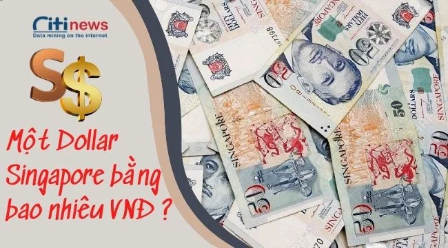 1-do-singapore-bang-bao-nhieu-tien-viet-nam