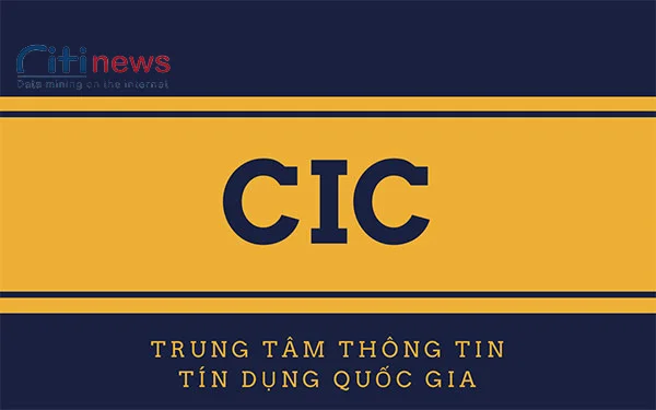 cic-la-gi-1
