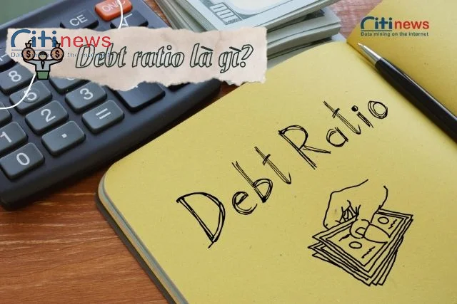 debt-ratio-la-gi-1