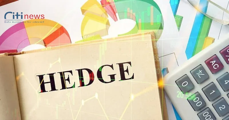 hedge-la-gi-2