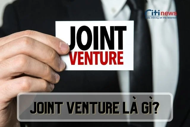 joint-venture-la-gi