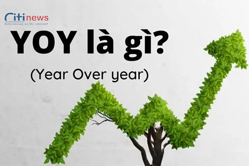 yoy-la-gi