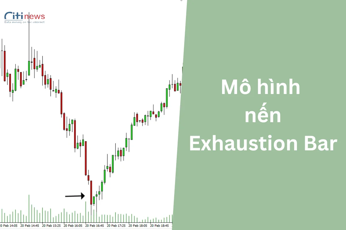 exhaustion-bar-2