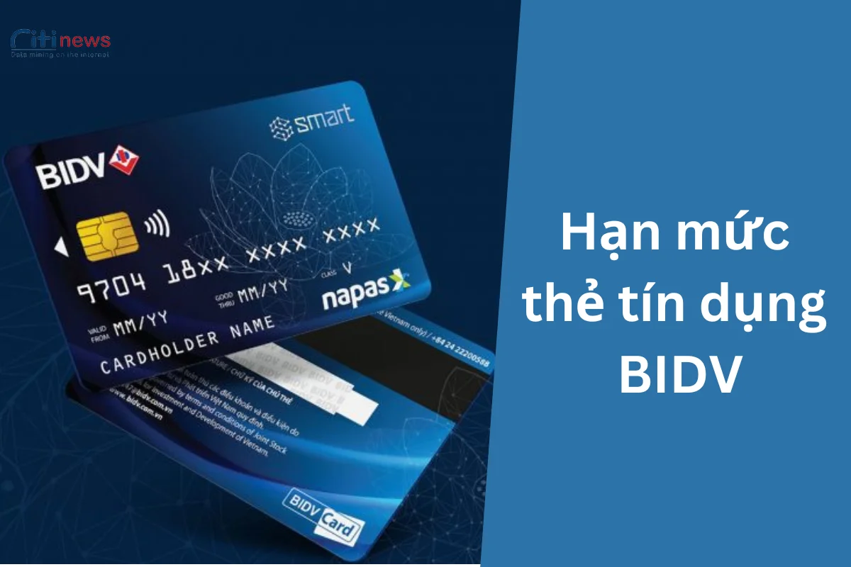 han-muc-the-tin-dung-bidv