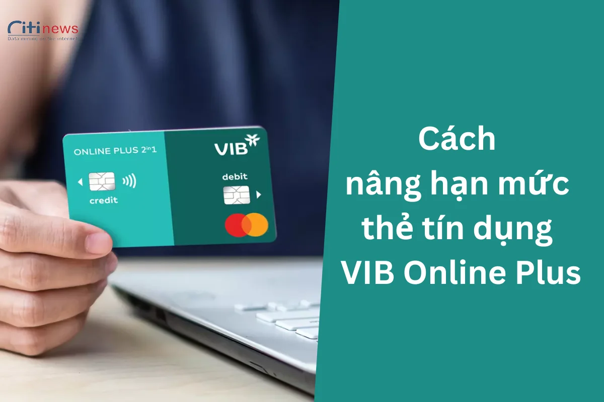 nang-han-muc-the-tin-dung-vib-online-plus