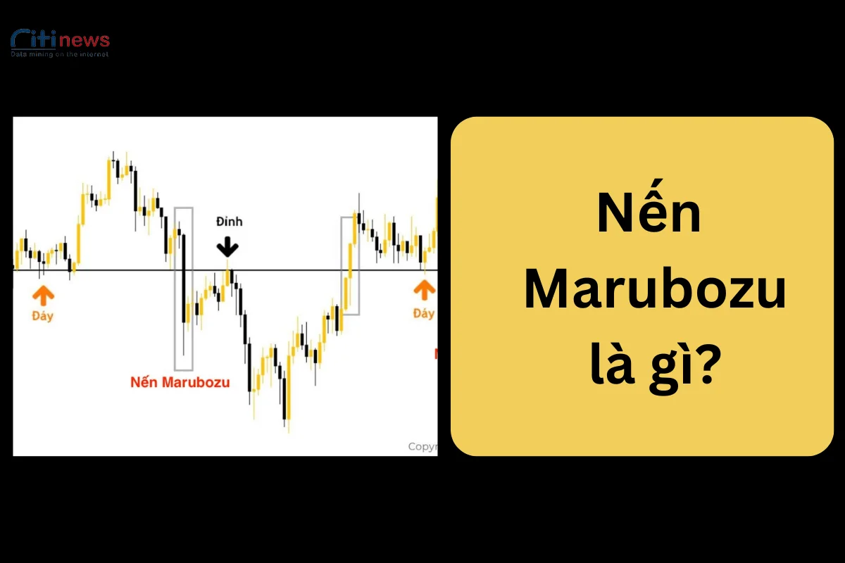 nen-marubozu-la-gi