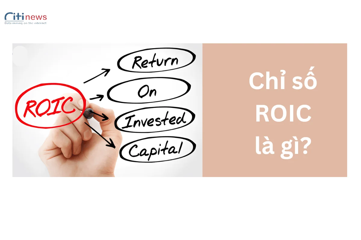 roic-la-gi-1