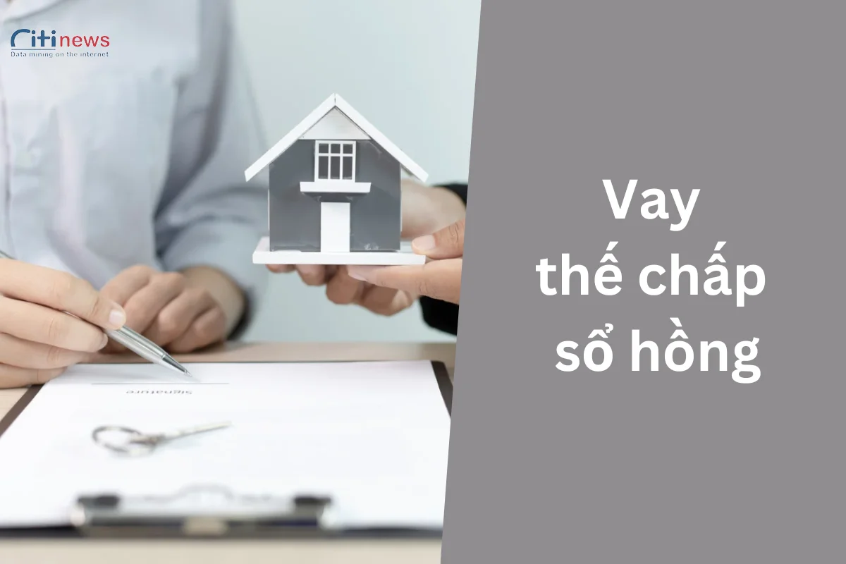 vay-the-chap-so-hong