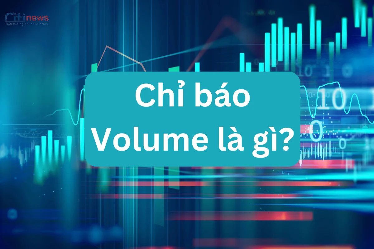 volume-la-gi-4
